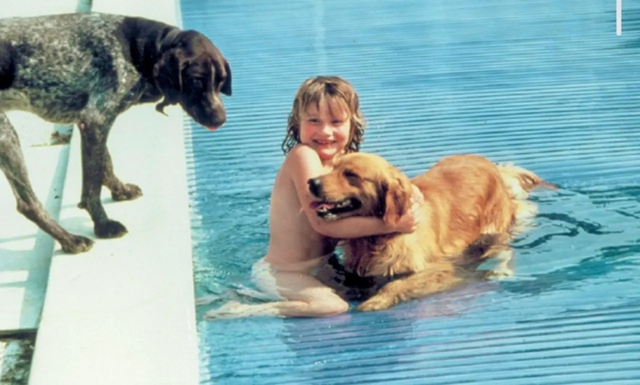 Supplied product photo with dogs beside the pool – No1Pool