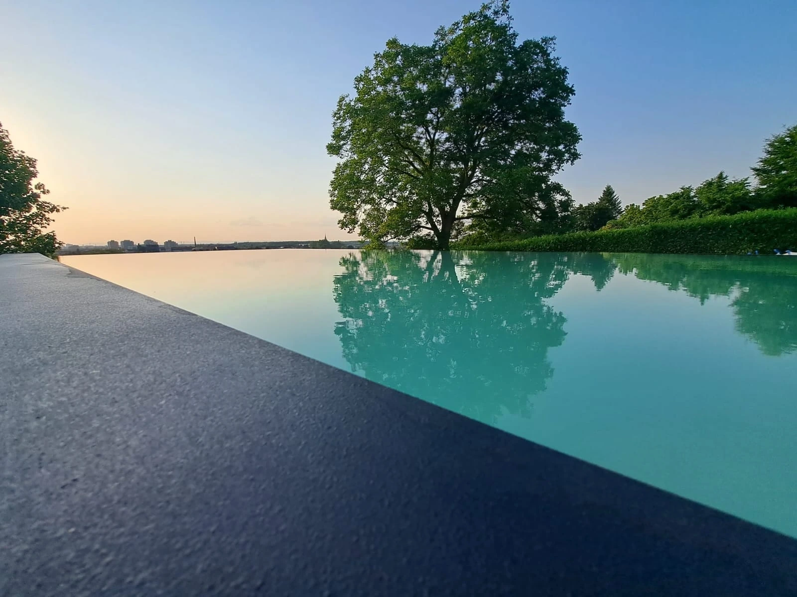 No1Pool Überlaufpool mit Baumspiegelung im Abendlicht